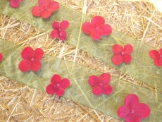 Organza Band mit Blüten 2,50 m x 5 cm Grün / Rot