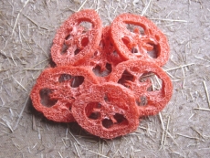 6 Luffa Ringe orange