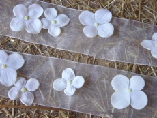 Organza Band mit Blüten 2,50 m x 5 cm  Creme