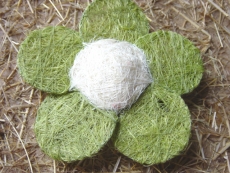 Sisal Blüte 15 cm Grün / Creme