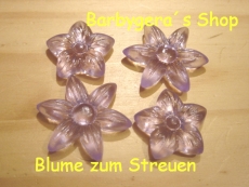 Streu Blumen Flieder