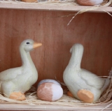 Enten Gänsestall aus Holz