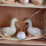 Enten Gänsestall aus Holz