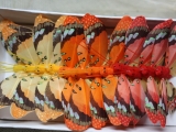 24 Schmetterlinge aus Federn am Draht 8 cm